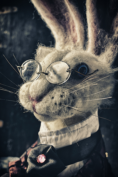 _rabbit1.jpg