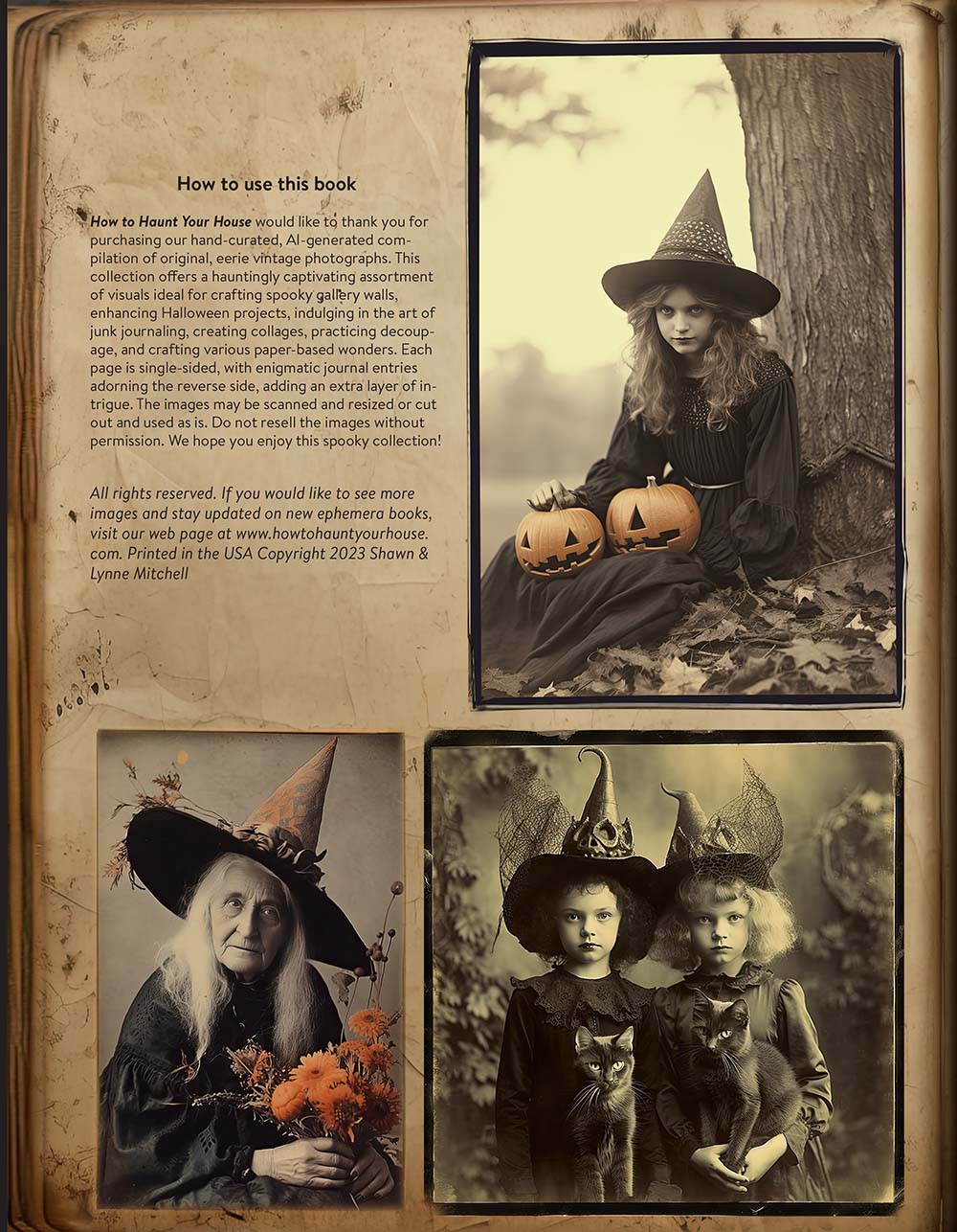 Strange and Unusual Photographs Book V1 2