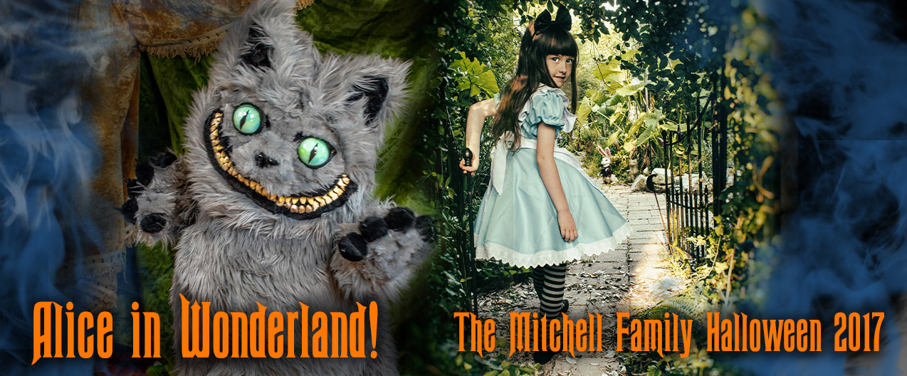 AliceInWonderland 2017 title