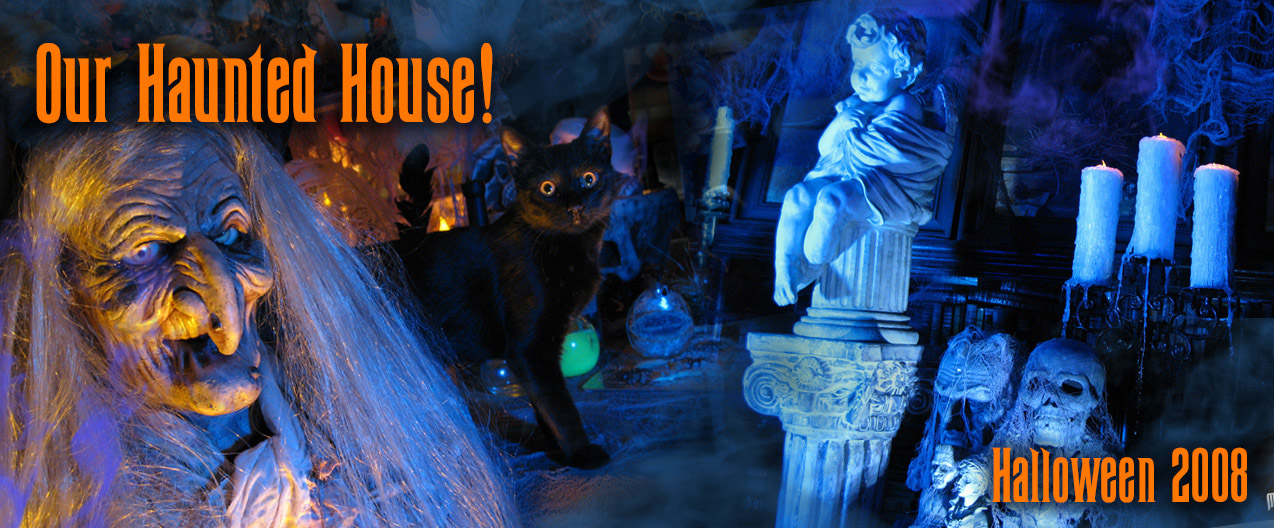 OurHauntedHouse 2008 title