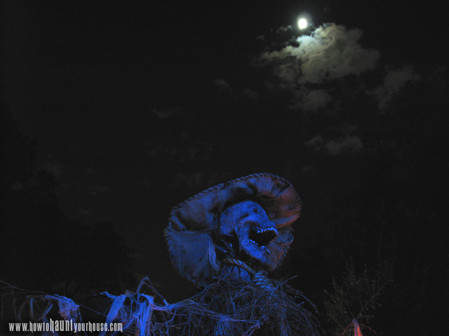 scarecrow_body_moon_blue.jpg